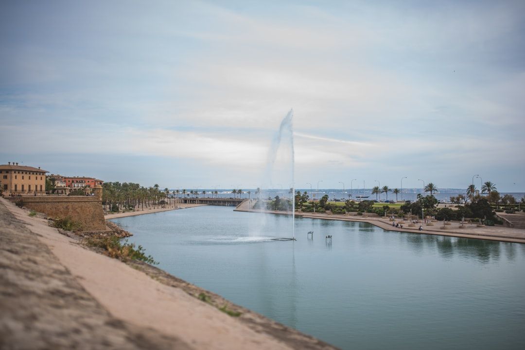 Where late booking wins in Palma