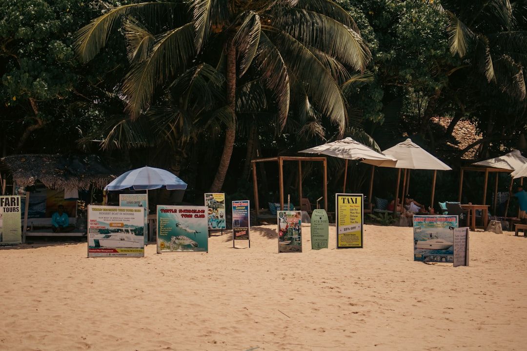 Where Travel Discounts Are Real and Where They Are Anchoring