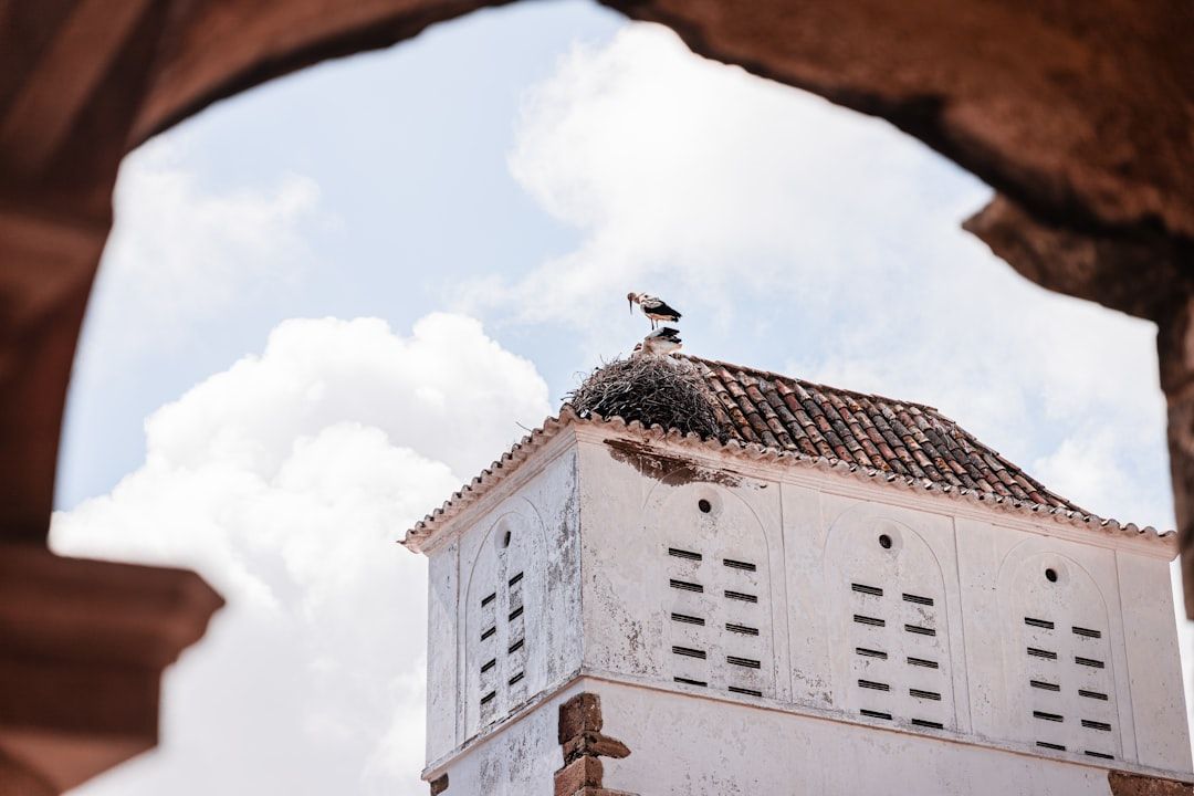 The extras that erode the saving in Faro